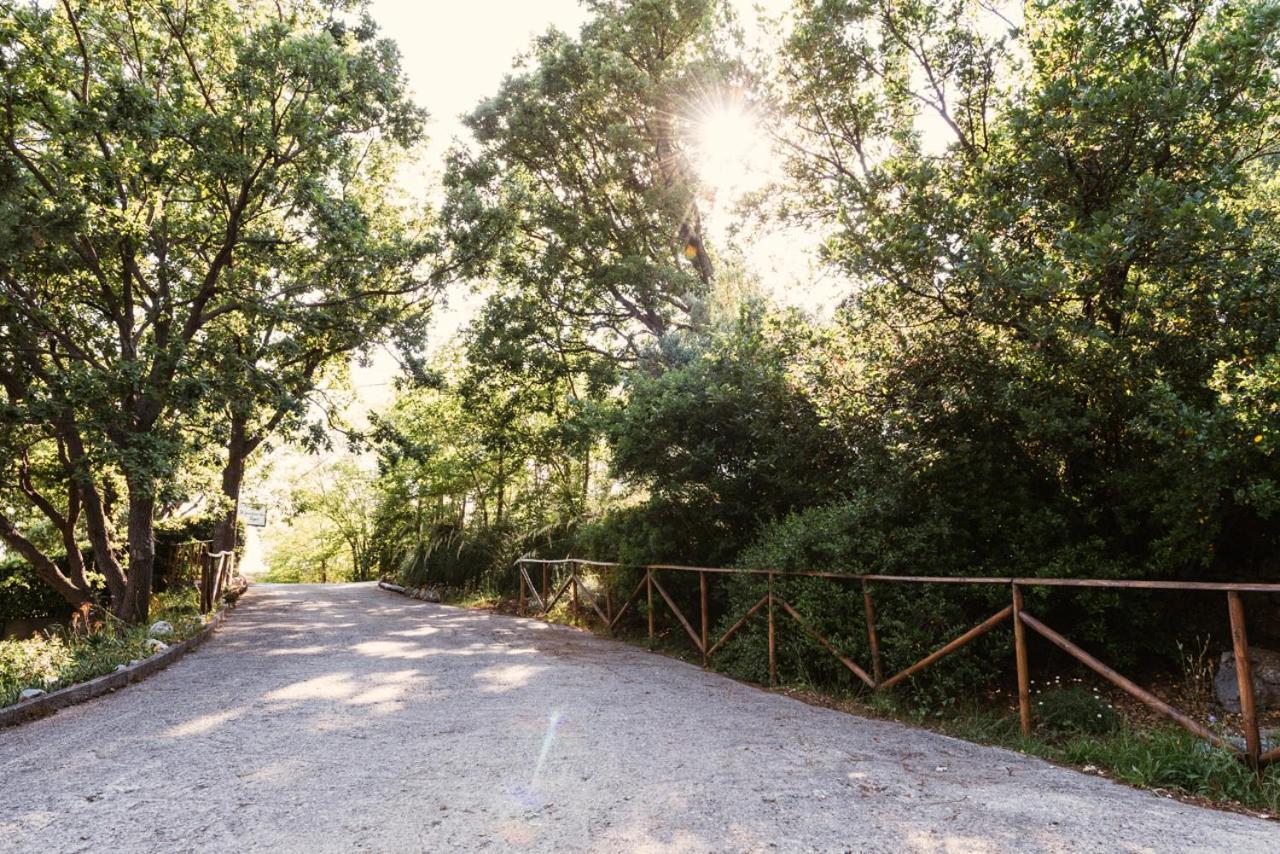 Santa Domenica Talao B&B Il Giardino Dei Sogni المظهر الخارجي الصورة